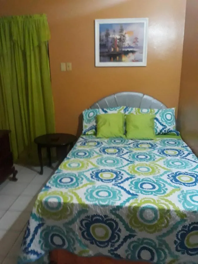 Tanya'S Apartments Negril